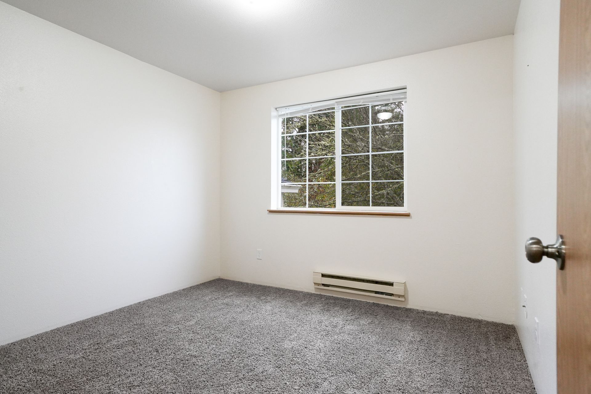 Empty carpeted bedroom with white walls and a window above a baseboard heater