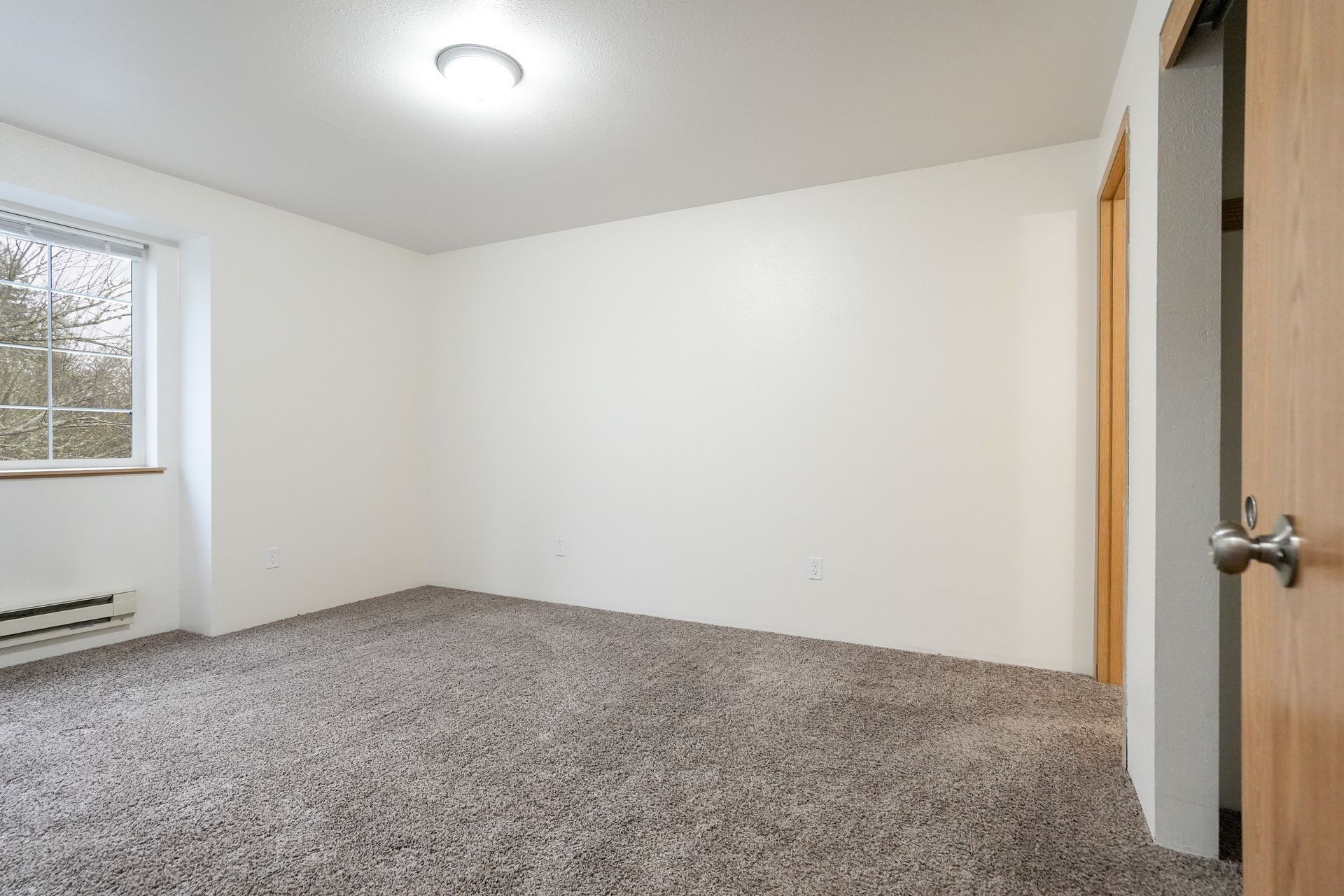 Empty carpeted bedroom with white walls, a window, ceiling light, and an open closet door