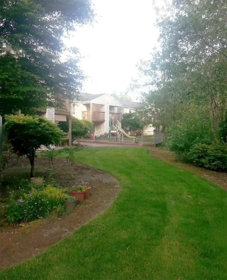 Green backyard path leading to a house, bordered by trees and shrubs under bright daylight