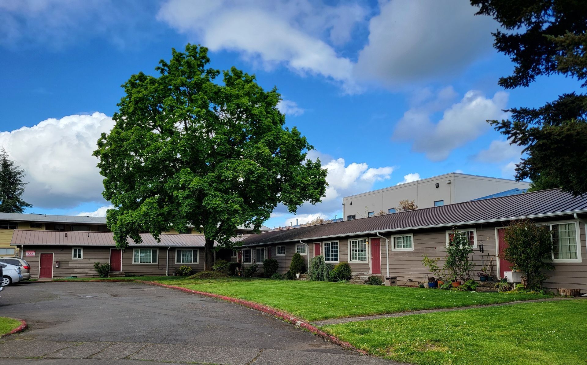 Low brick buildings with a large tree and blue sky in a quiet courtyard