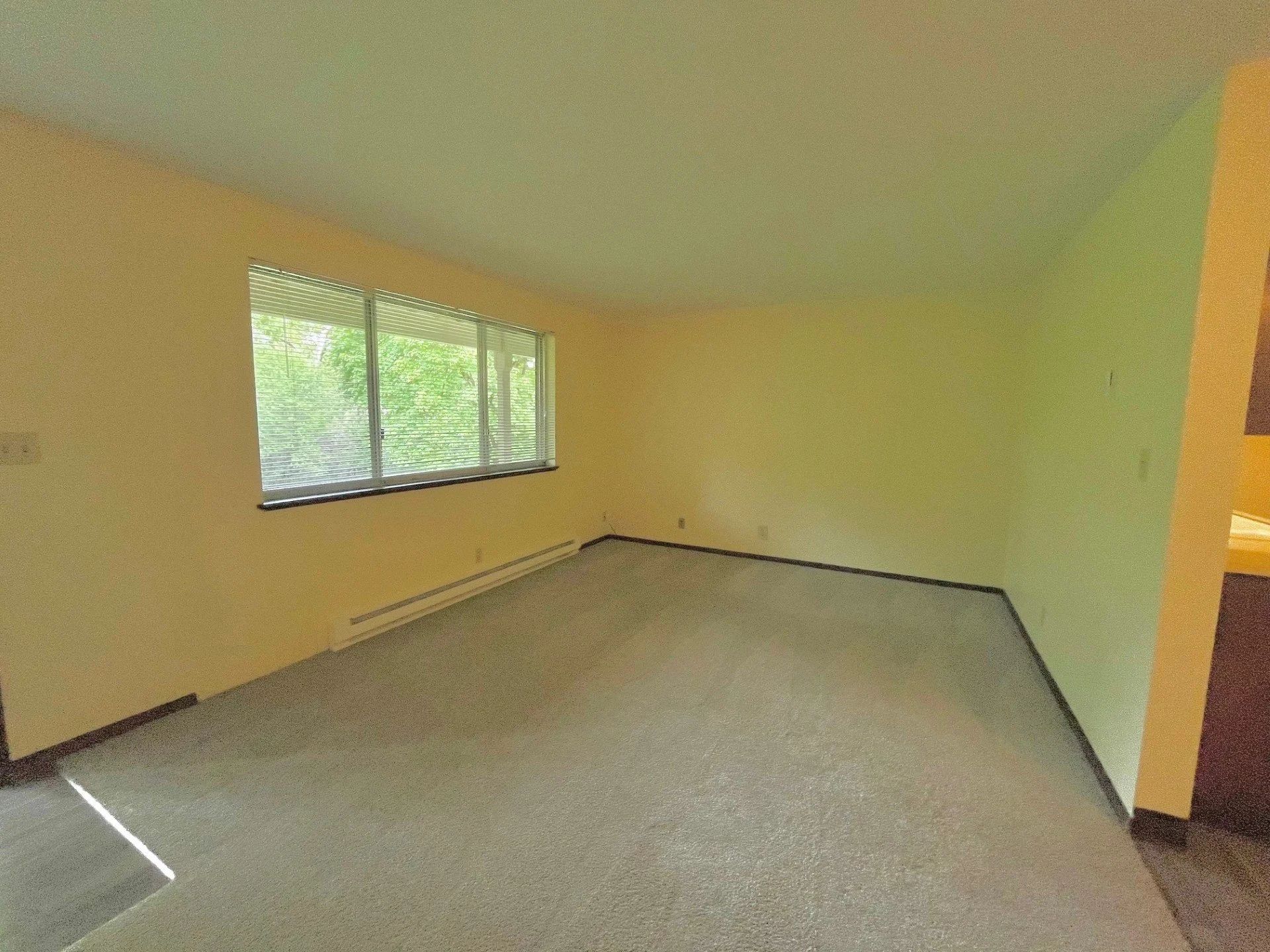 Empty beige room with carpeted floor and a window letting in daylight