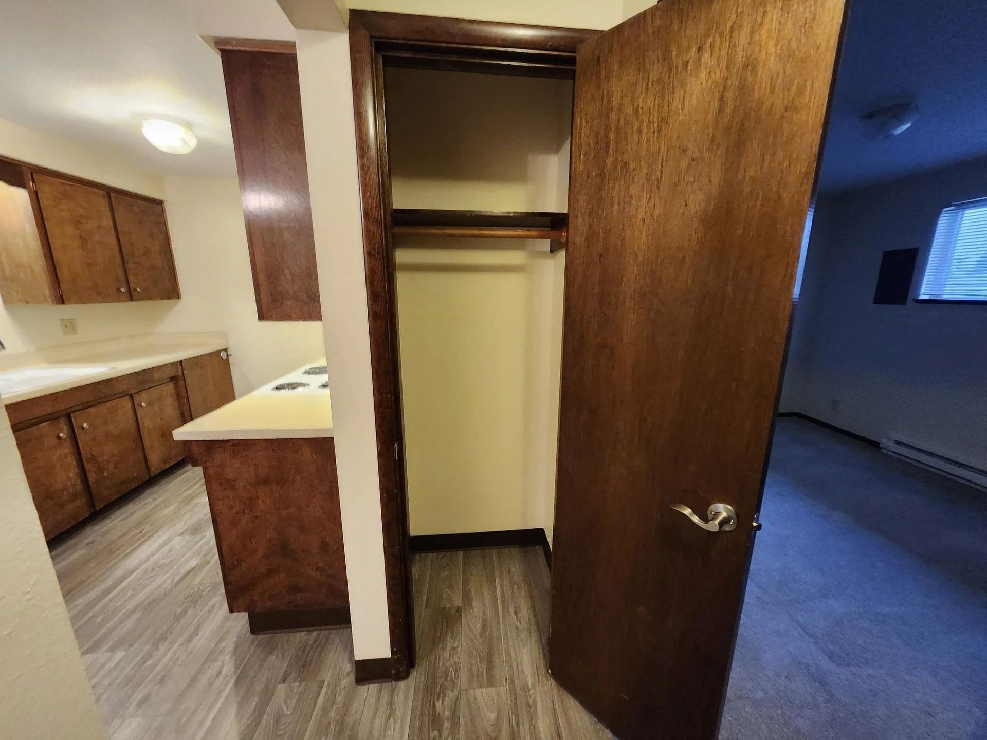 Small kitchen with wood cabinets and an open closet or pantry door leading to a carpeted room.