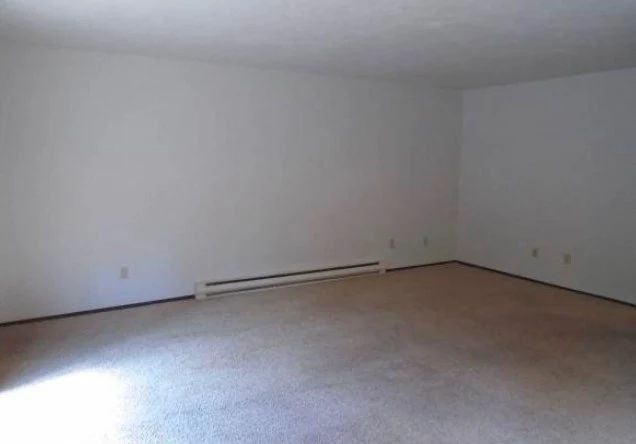 Empty beige room with carpet, white walls, and a baseboard heater along the far wall