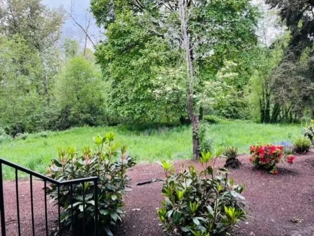 Lush green garden with trees, shrubs, and red flowers beside a walkway and black railing