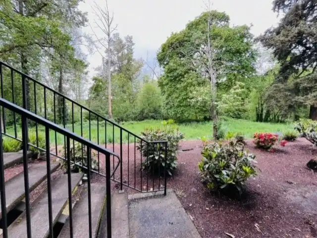 Front yard garden with stairs, shrubs, and trees on a cloudy day