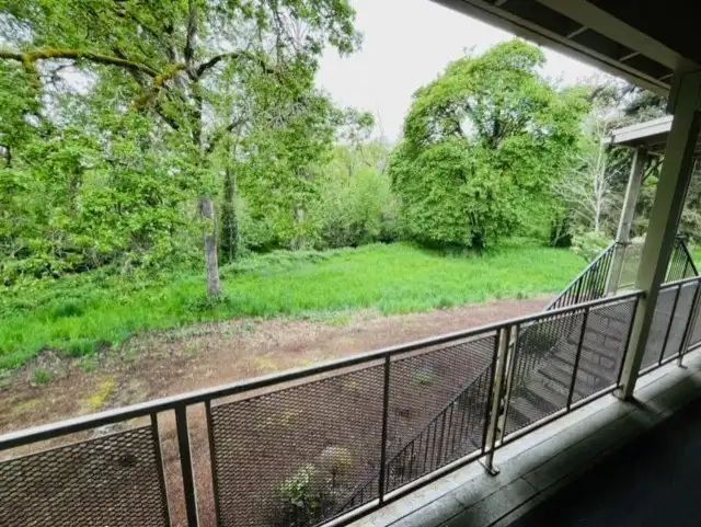 Covered balcony overlooking a lush green field and trees after rain