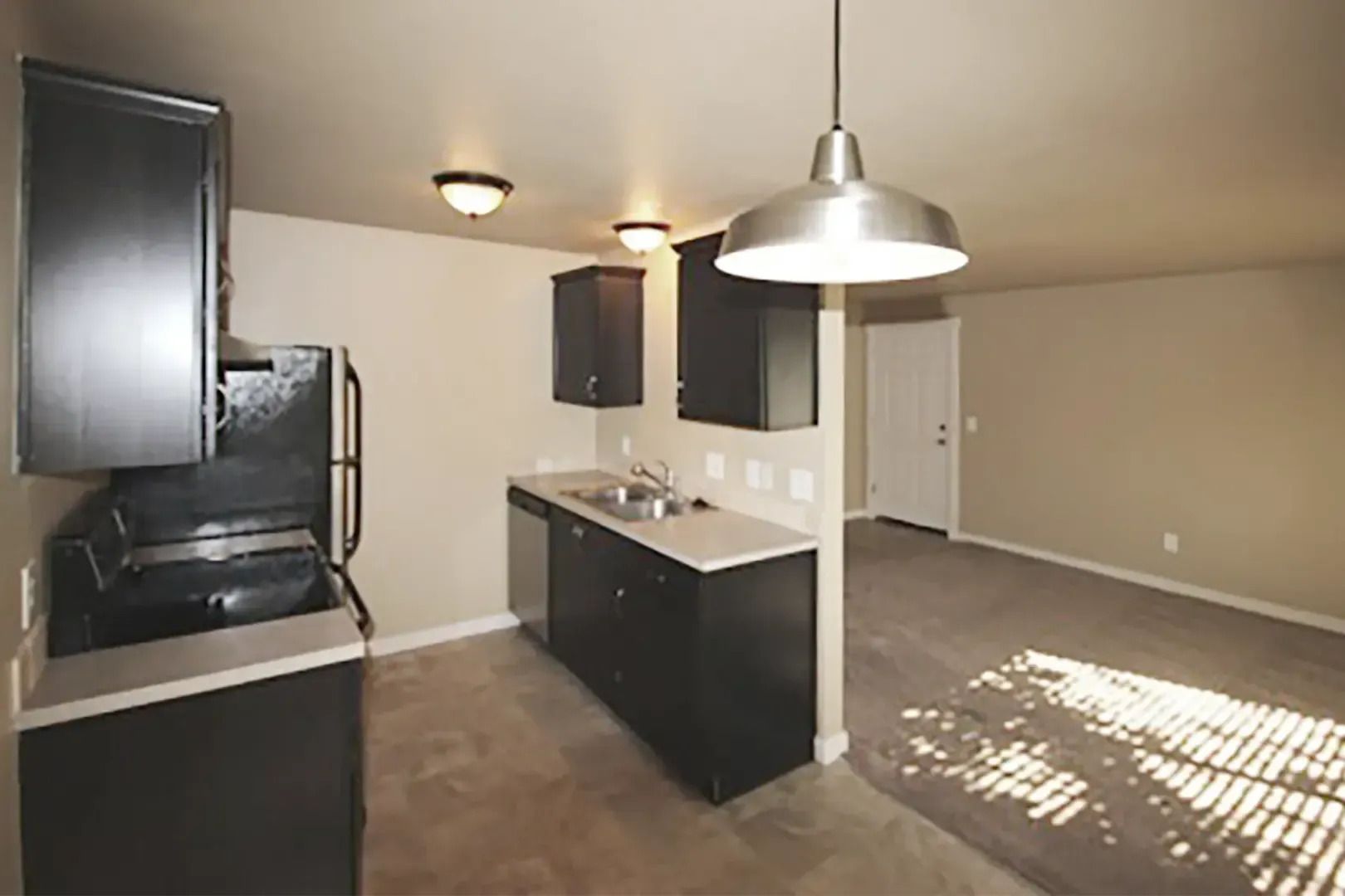 Empty kitchen and living area with dark cabinets, island, and sunlight on carpeted floor