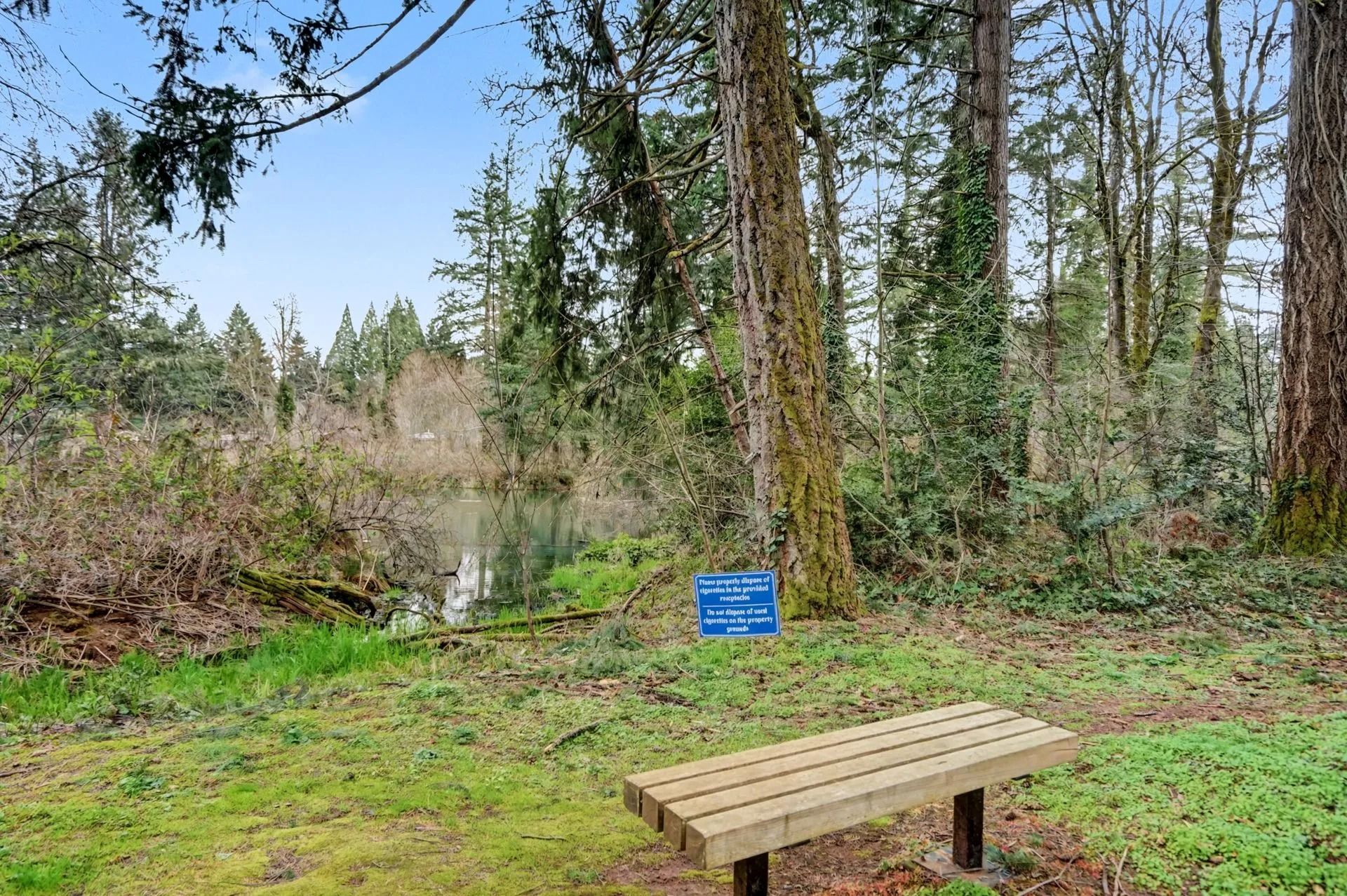 Wooden bench beside a wooded pond with a blue sign in a grassy park setting