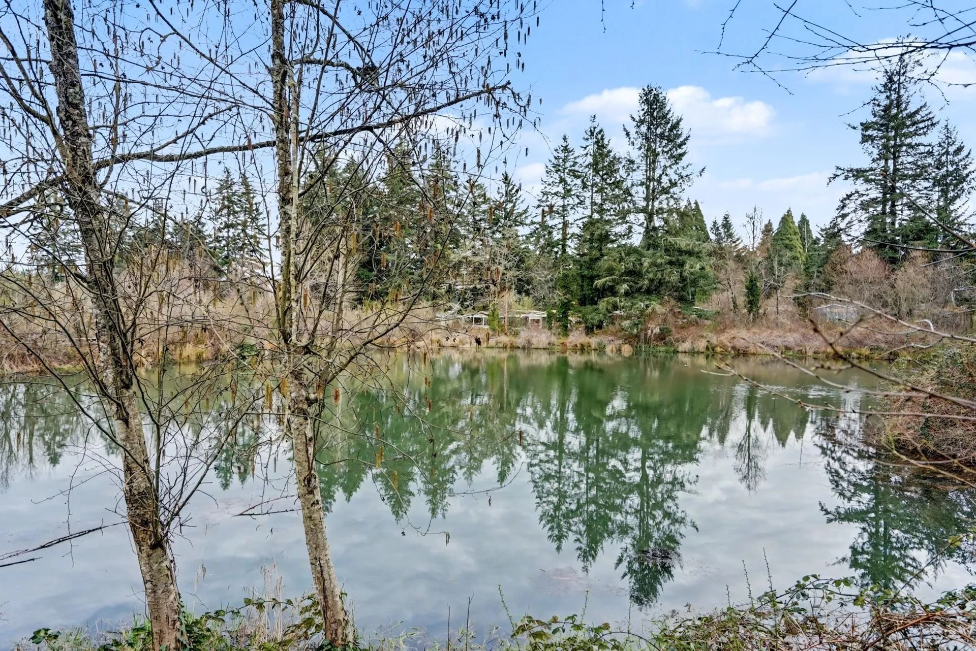 Calm pond reflecting bare trees and evergreens under a cloudy sky