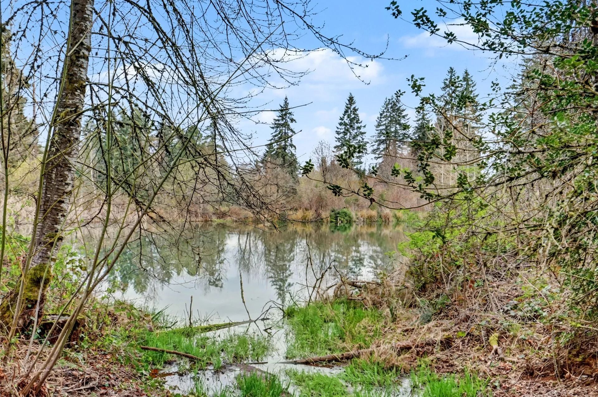 Wooded pond with still water, spring greenery, and trees reflected under a partly cloudy sky