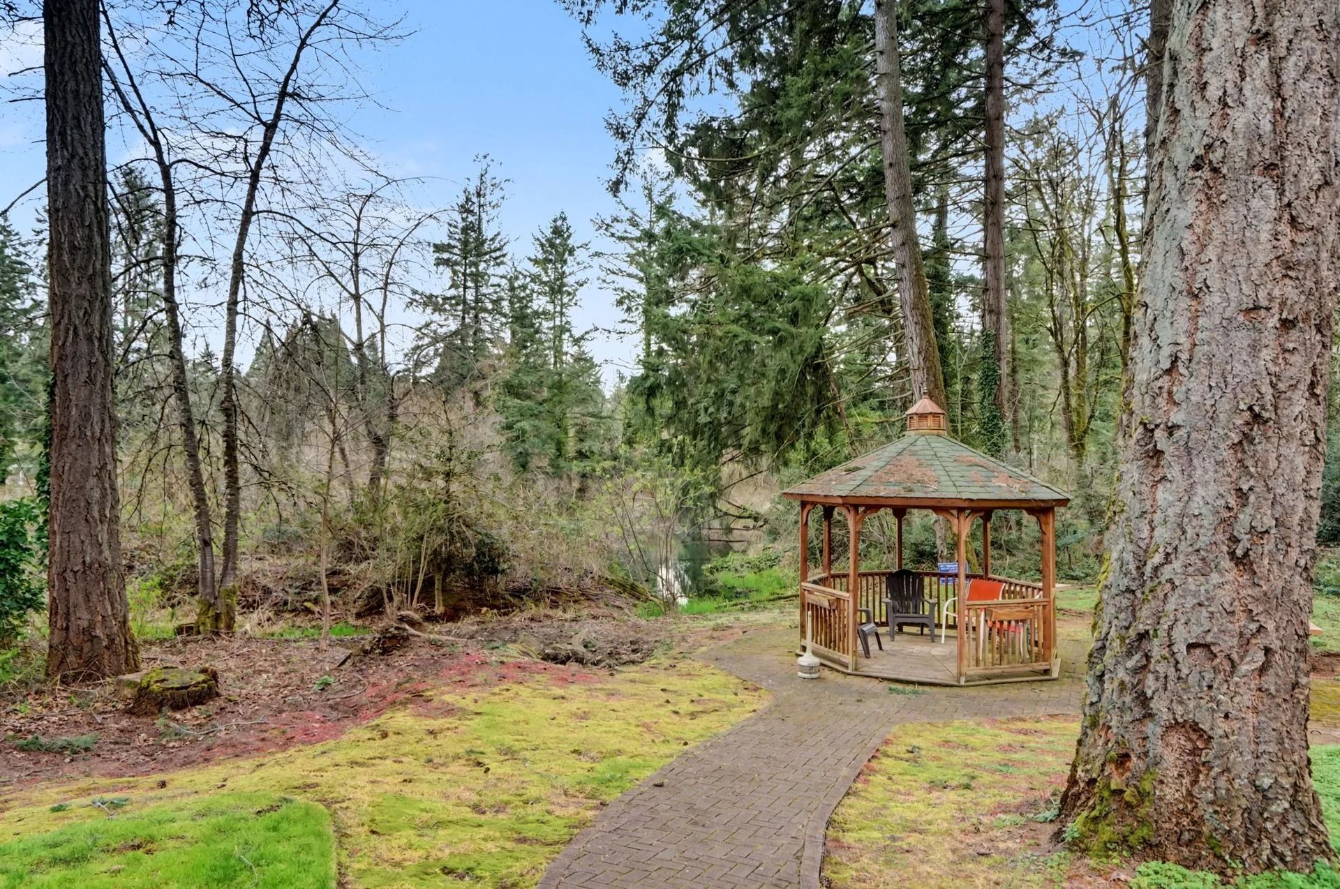 Gazebo in a wooded park beside a winding path, surrounded by tall trees and green moss.