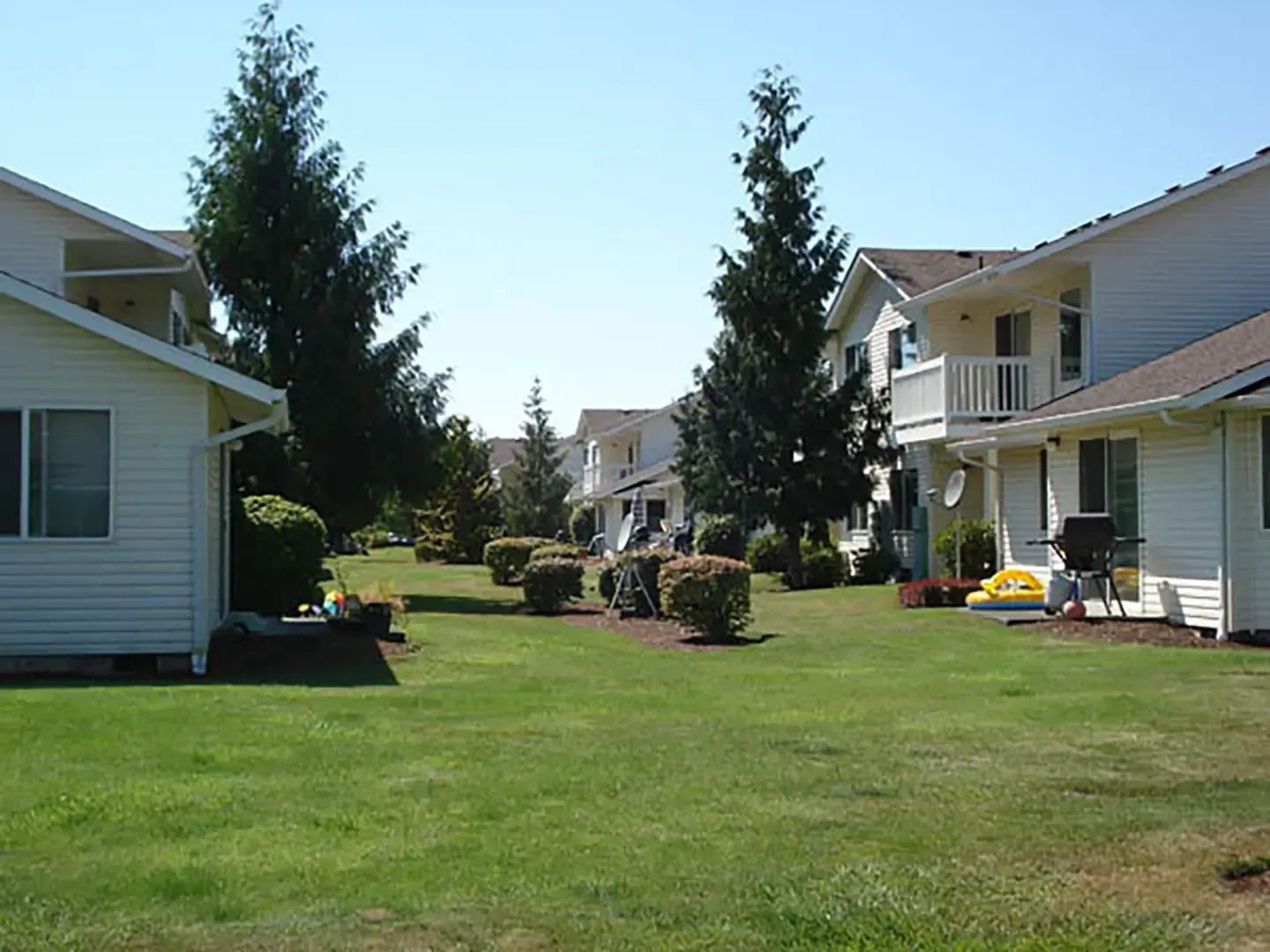 Grassy courtyard between beige apartment buildings with evergreen trees and shrubs under a clear sky