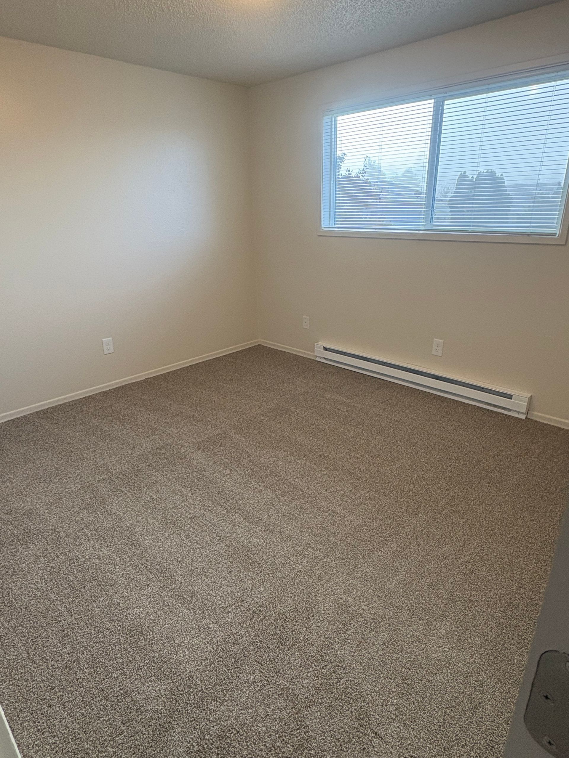Empty beige carpeted room with white walls and a window with blinds.