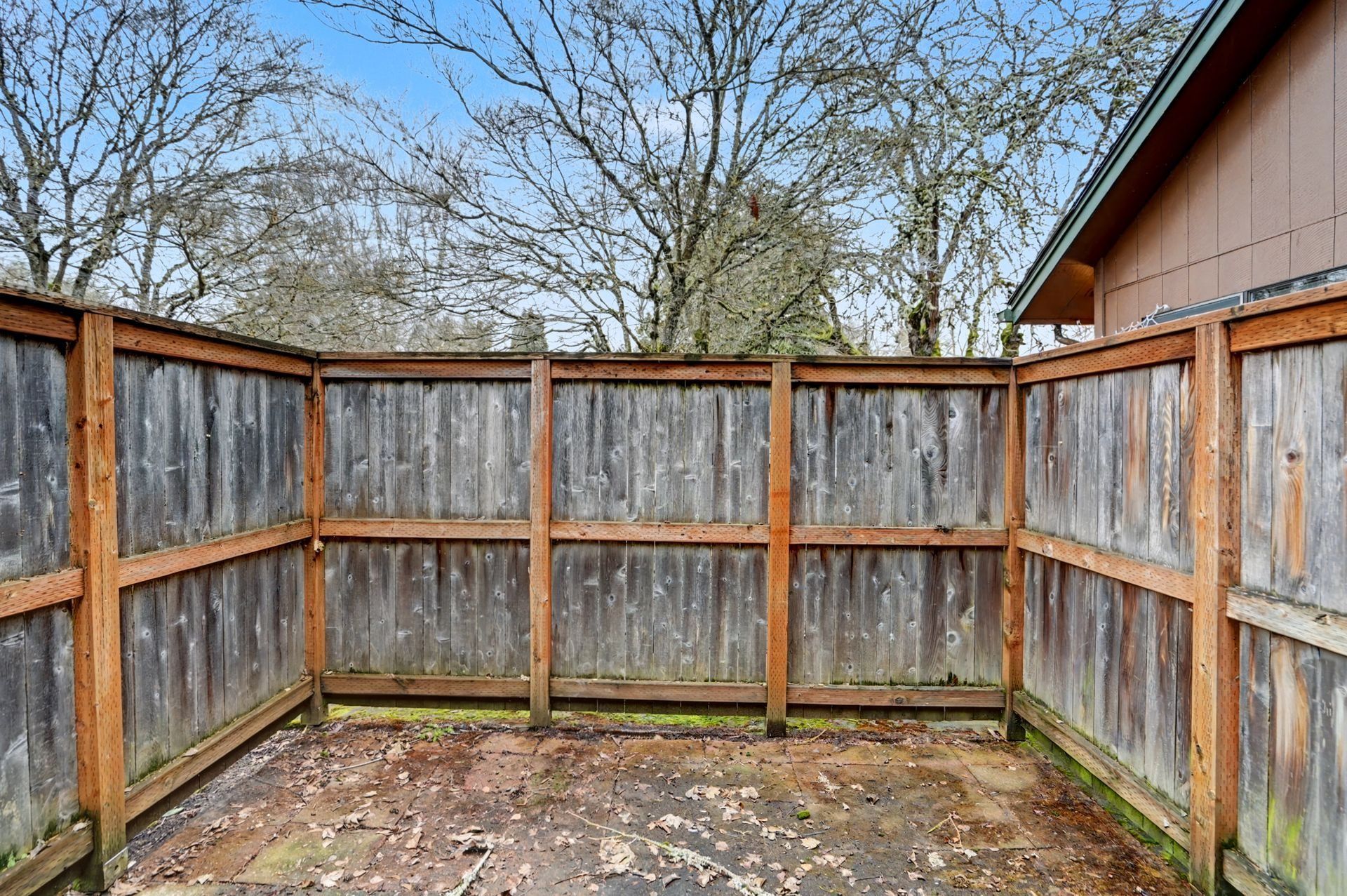 Small fenced backyard area with weathered wooden privacy fences and bare trees overhead