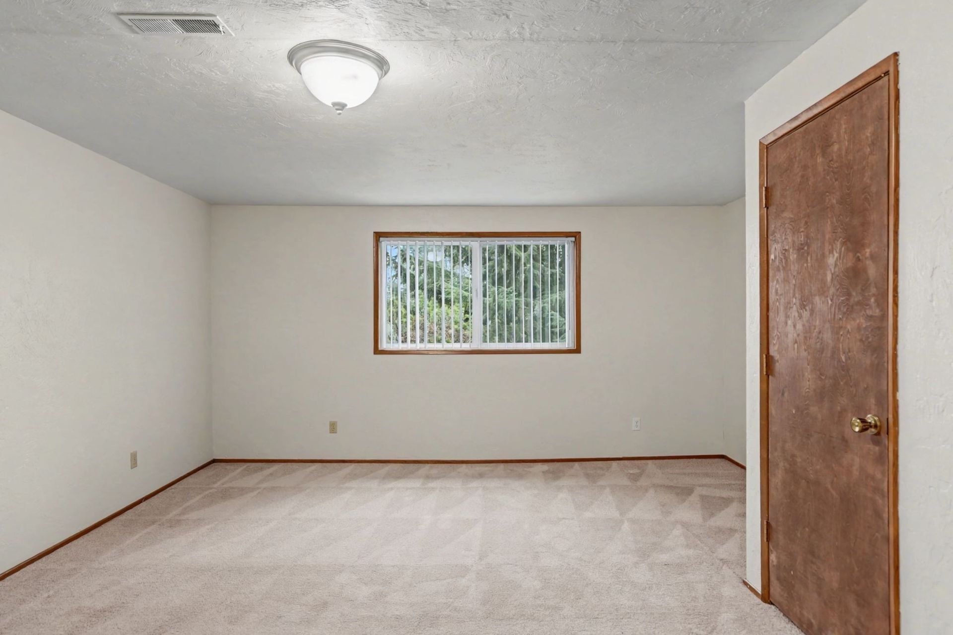 Empty beige bedroom with carpet, white walls, a window, ceiling light, and wooden closet door