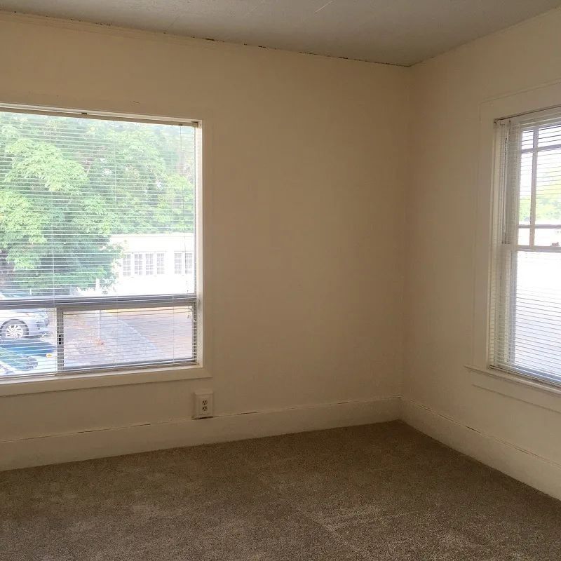 Empty beige bedroom with two windows and carpeted floor