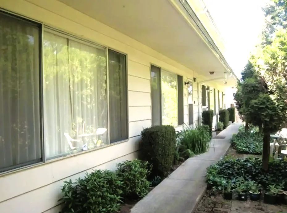 Motel corridor with sliding glass doors, windows, and shrubs along a narrow walkway