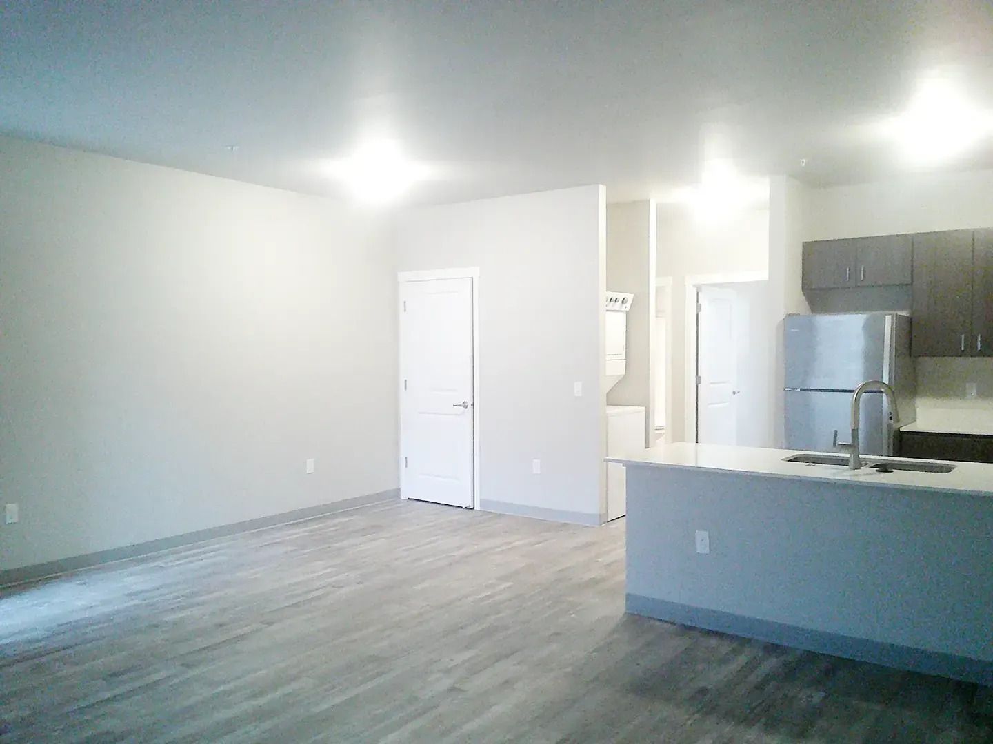 Empty modern kitchen and living area with gray walls, wood floor, and stainless steel appliances