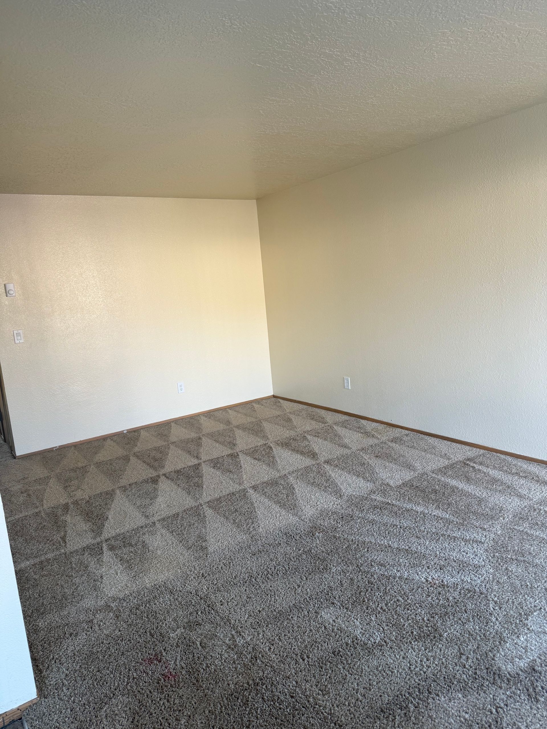 Empty carpeted room with beige walls and textured ceiling, lit by natural light.