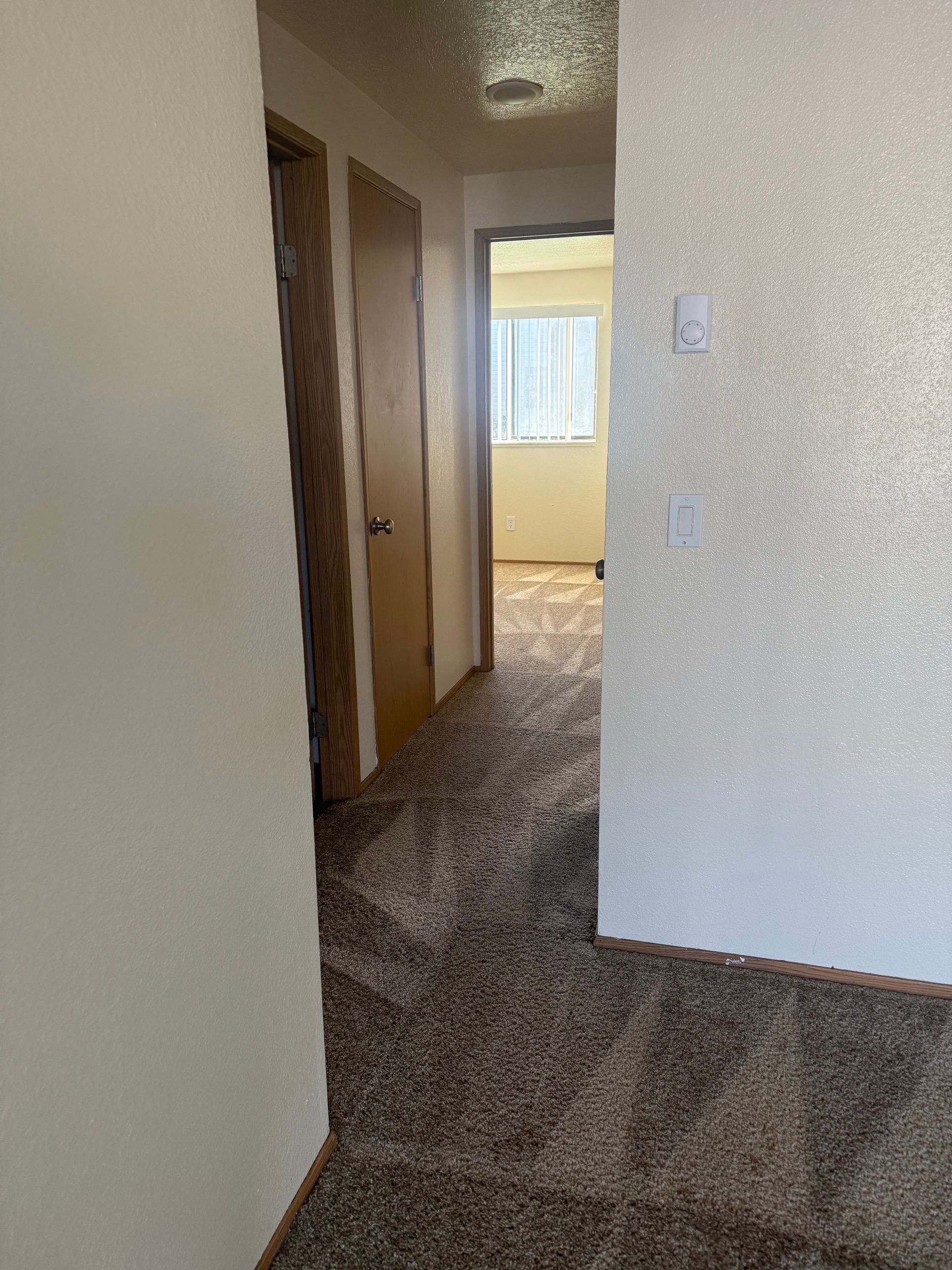 Narrow carpeted hallway with white walls, brown doors, and a bright room at the end.