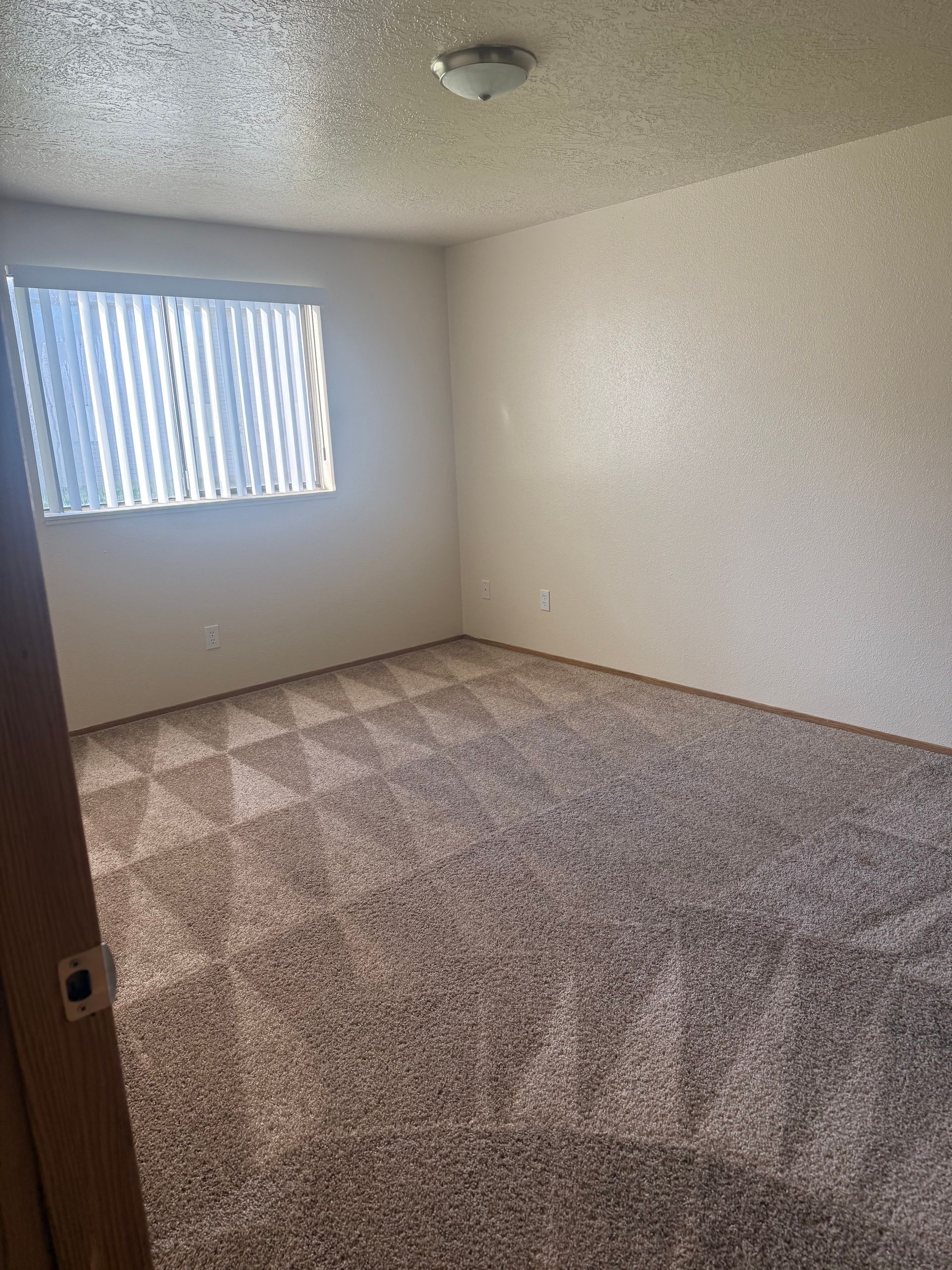 Empty beige carpeted bedroom with a window and vertical blinds, lit by natural light.
