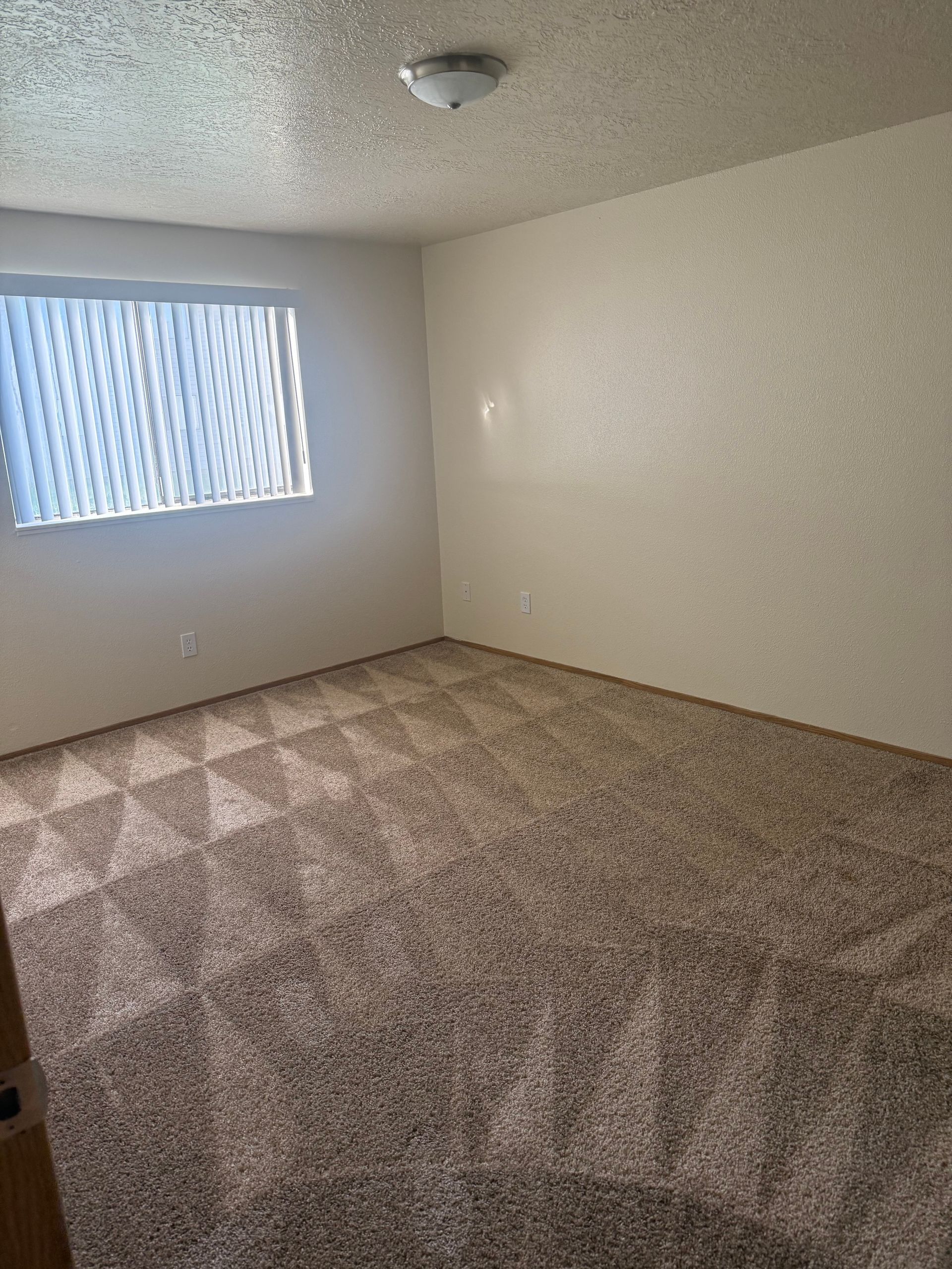 Empty beige bedroom with carpet, window blinds, and ceiling light