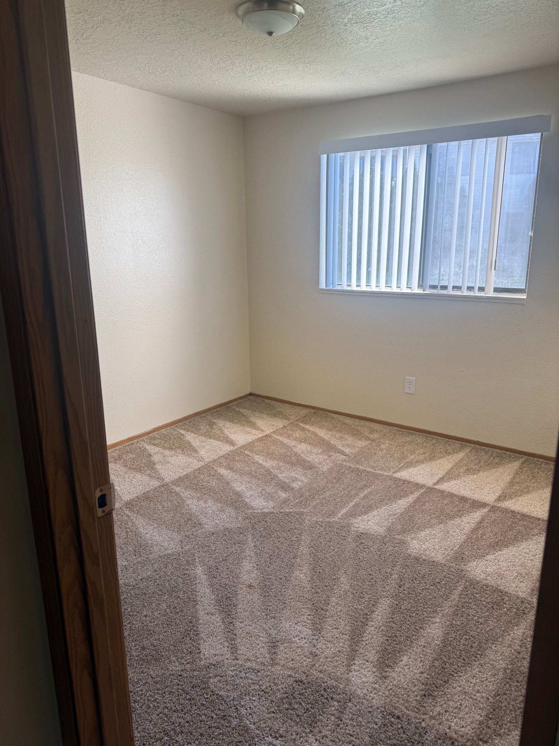 Empty beige bedroom with carpet, window blinds, and sunlight casting shadows on the floor.