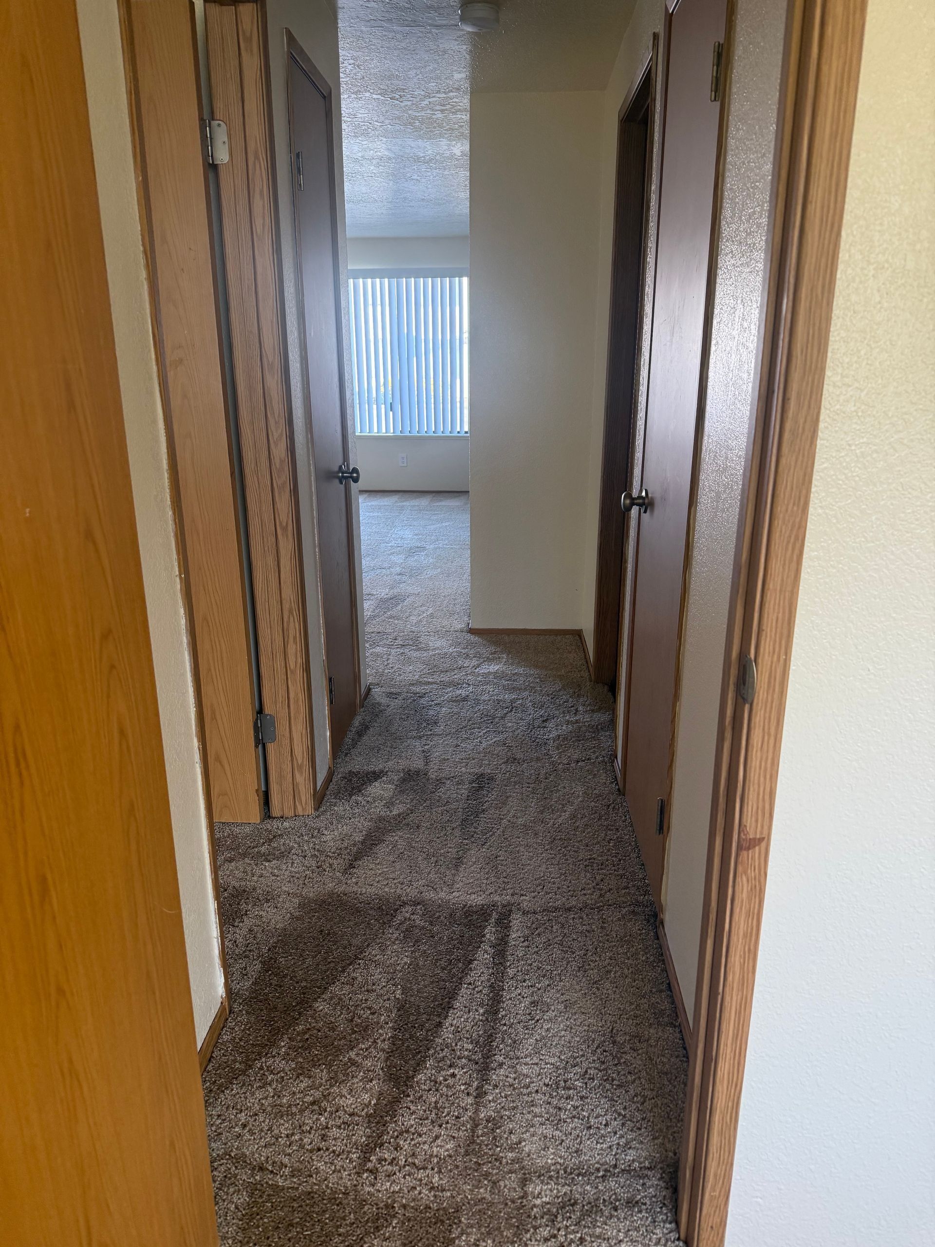 Hallway with beige walls and carpet, leading to a bright room with vertical blinds.