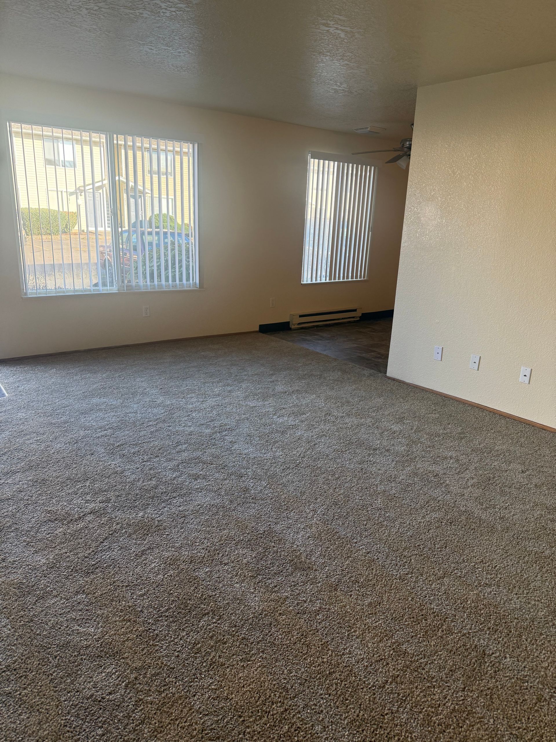Empty beige living room with carpeted floor and two windows with vertical blinds.