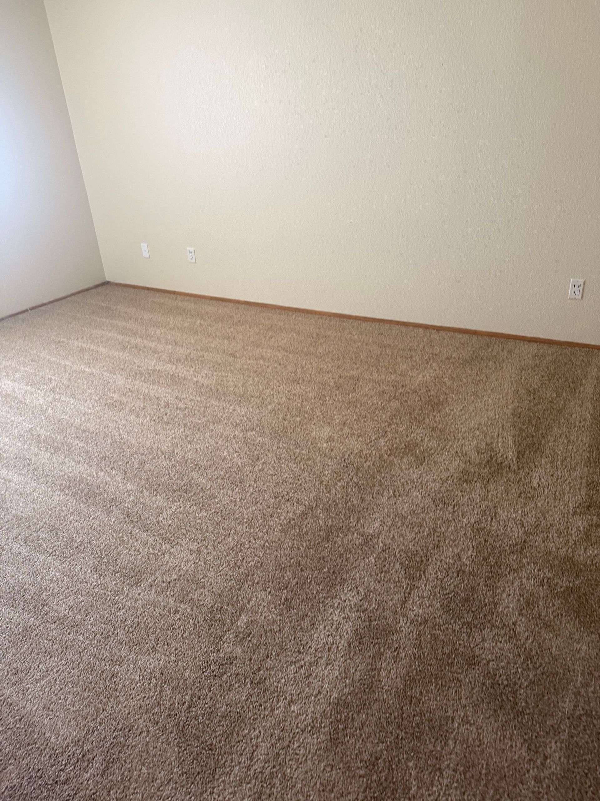 Empty beige-carpeted room with off-white walls and baseboards, lit by natural light.
