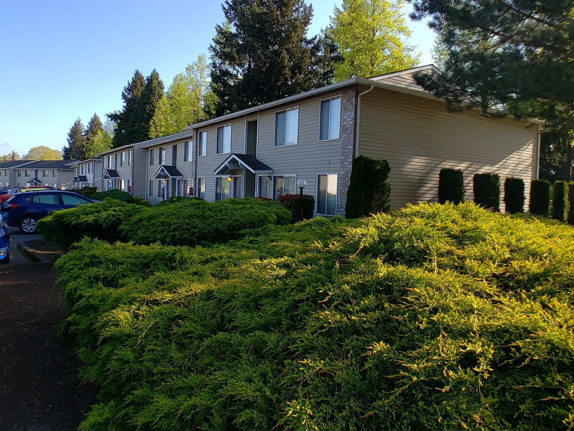 Row of beige apartment buildings behind green shrubs and parked cars on a sunny day