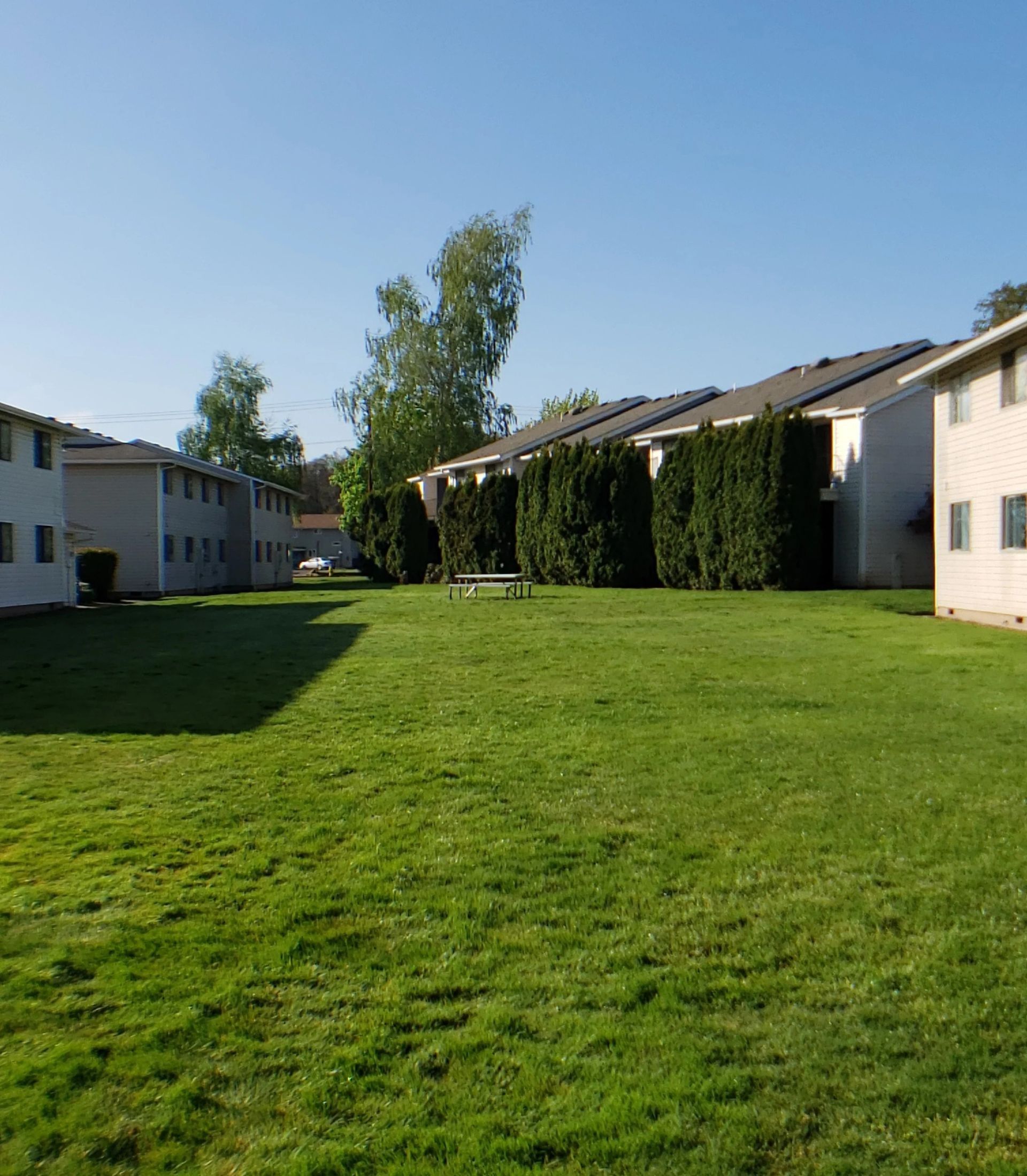 Sunny green lawn between beige apartment buildings and trees under a clear blue sky