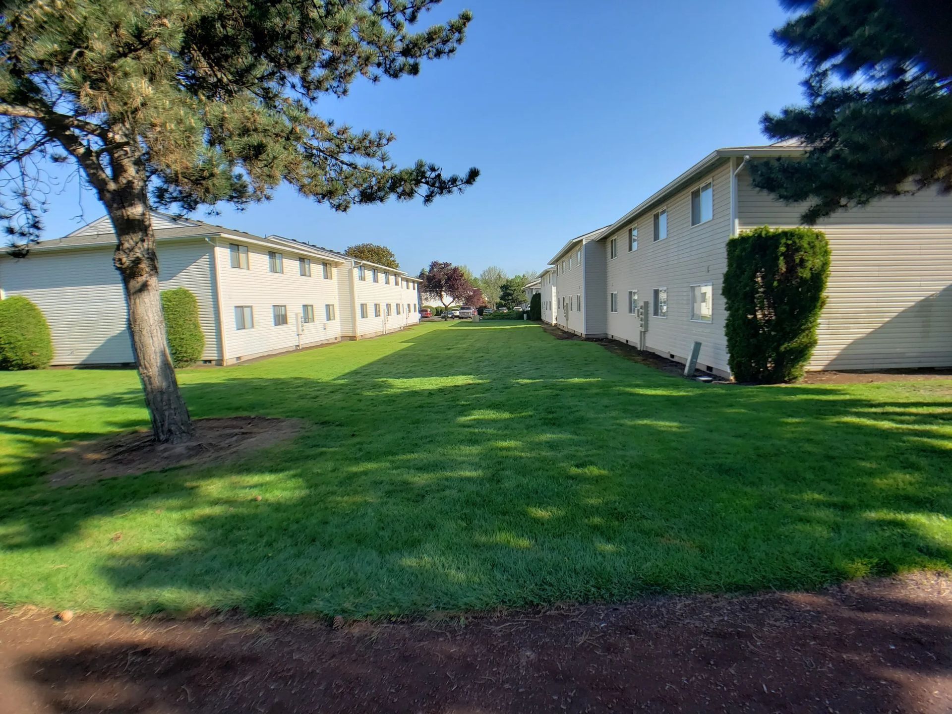 Grassy courtyard between two beige apartment buildings under a clear blue sky