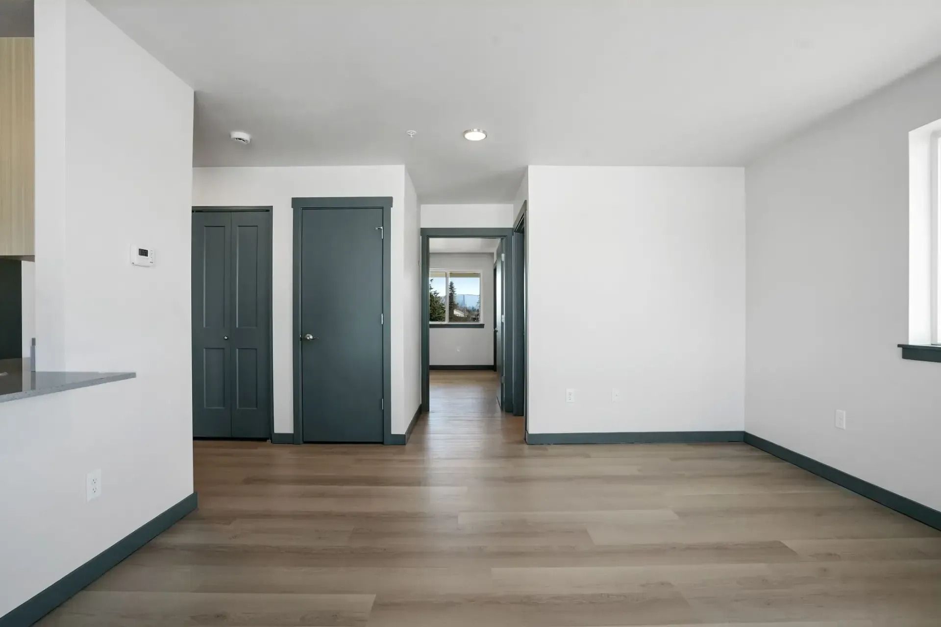 Empty modern room with light wood floors, white walls, and gray double doors.