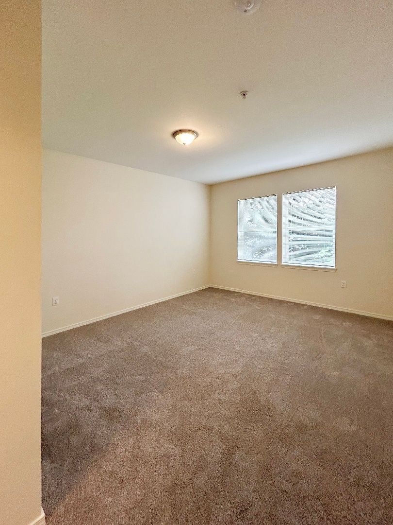 Empty carpeted bedroom with white walls, ceiling light, and two windows letting in daylight