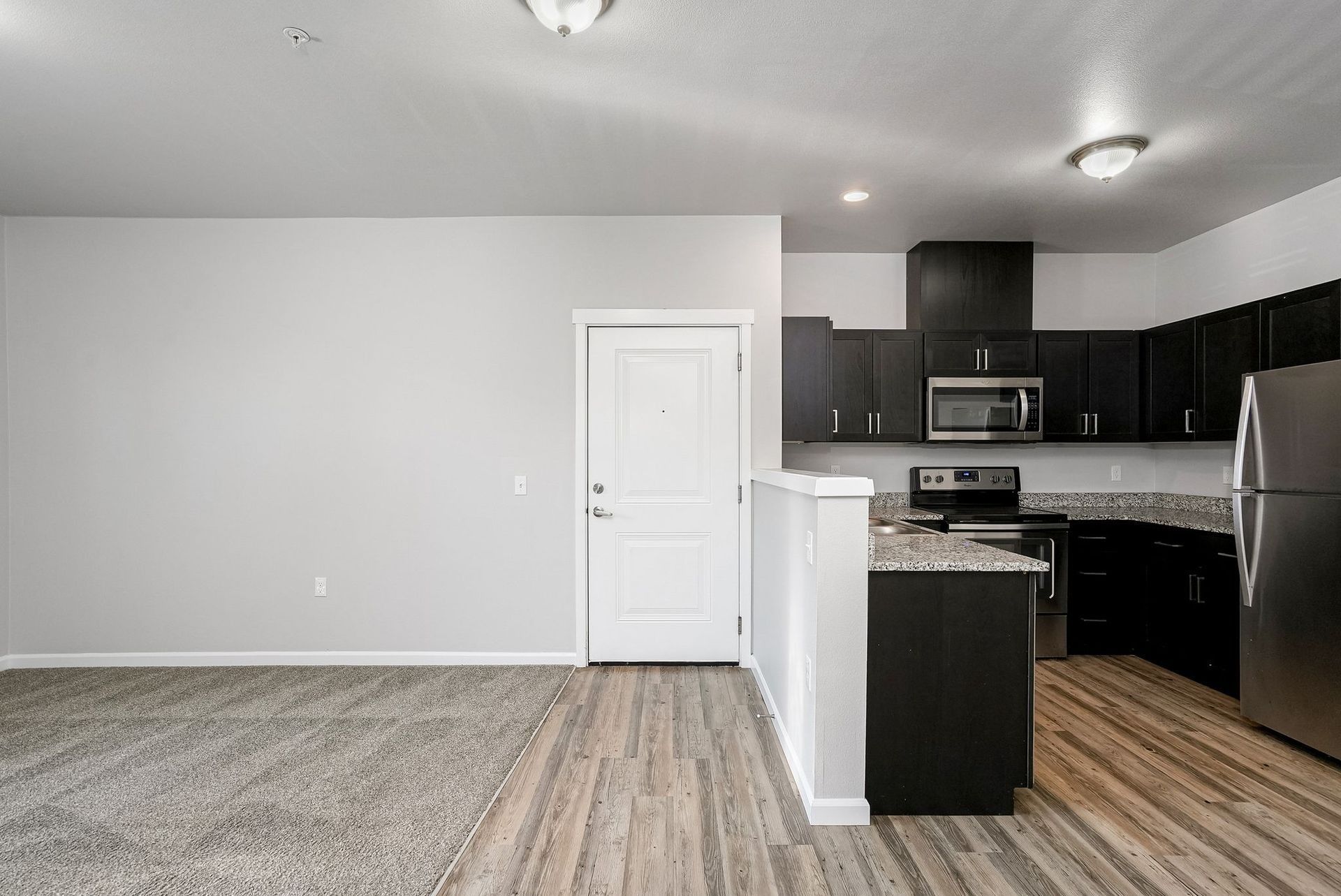 Open kitchen and living area with gray carpet, white walls, and dark cabinets.