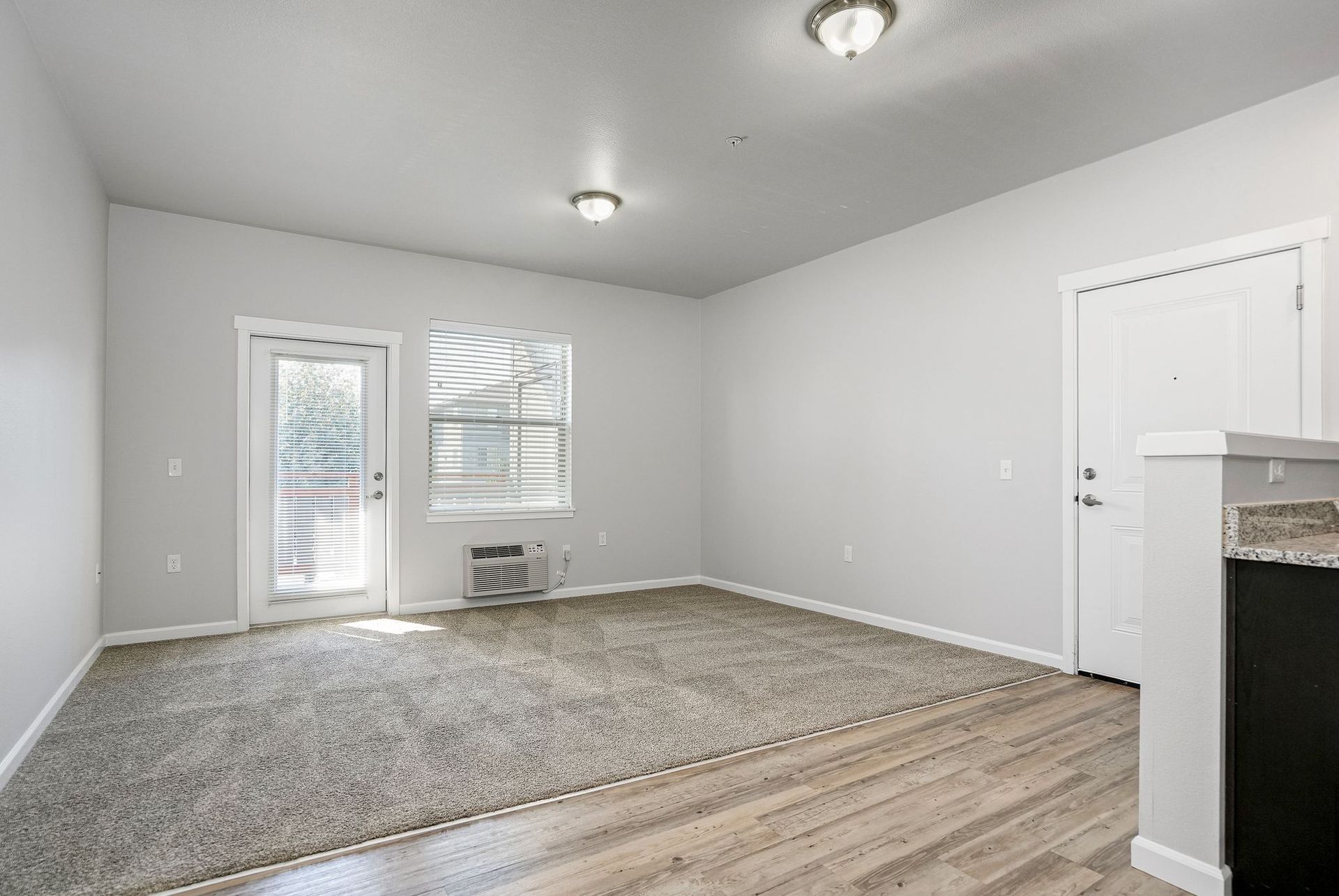 Empty gray-carpeted living room with white walls, wood floor, window, and ceiling lights