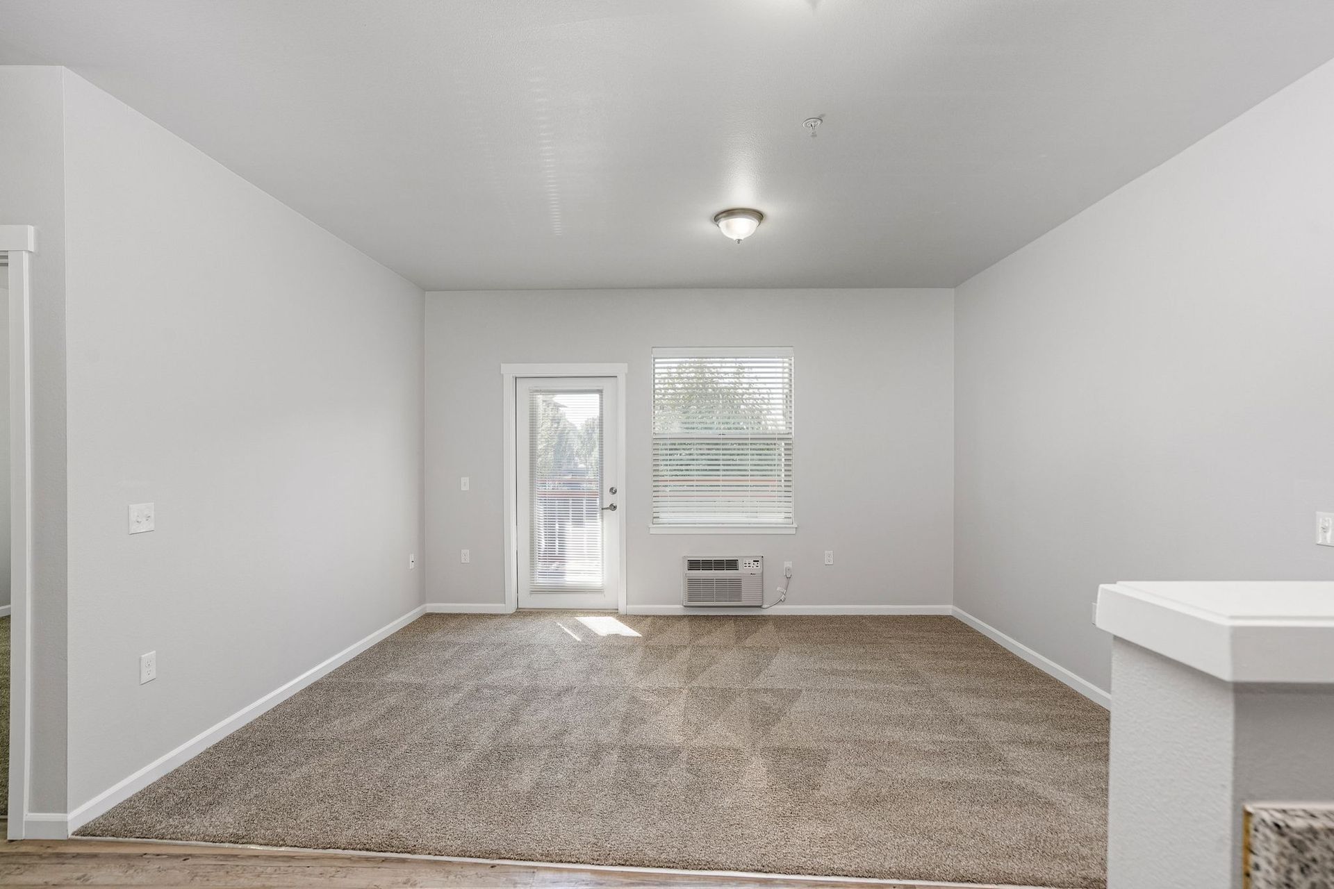 Empty living room with carpet, white walls, and a windowed door with a wall heater.