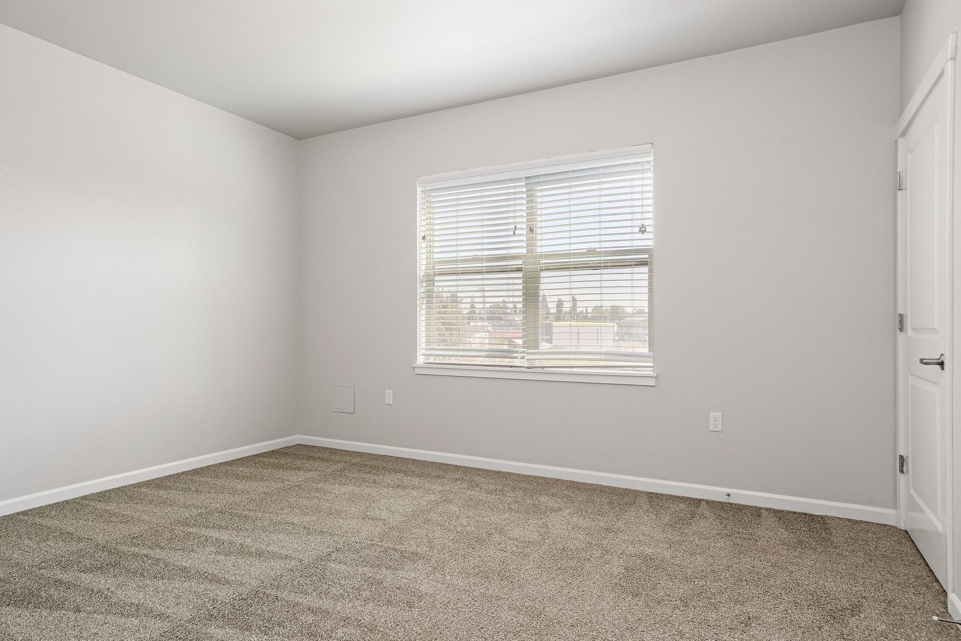 Empty light gray bedroom with carpeted floor and a window with blinds