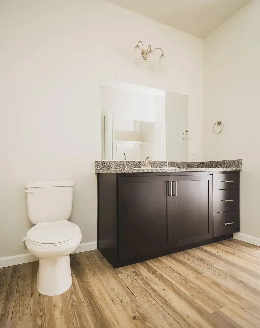 Small bathroom with white toilet, dark vanity, speckled countertop, mirror, and wood-look floor.