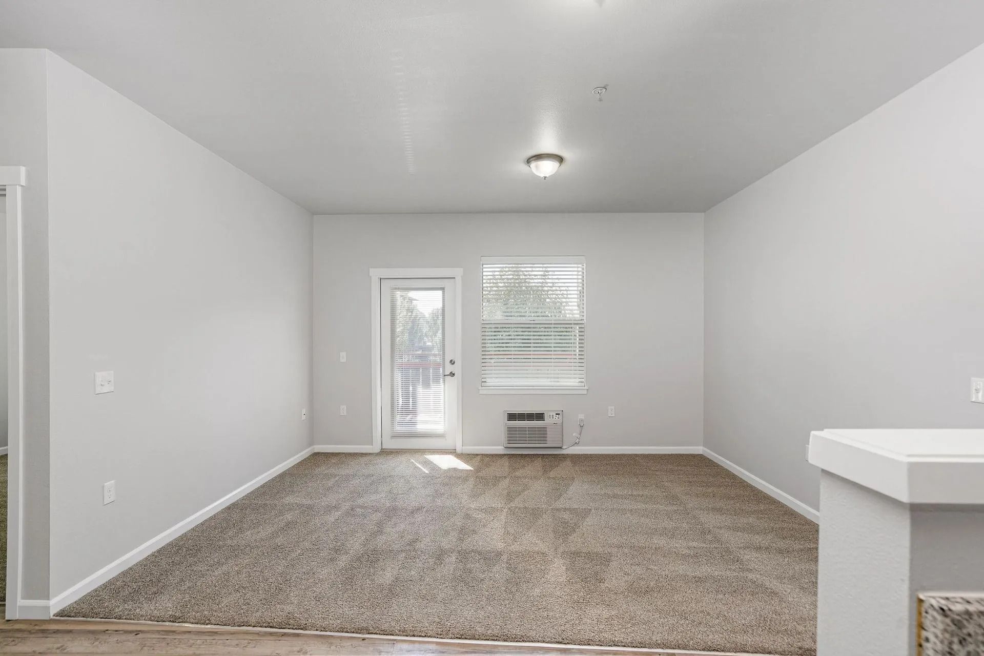 Empty white living room with carpet, window, door, and ceiling light