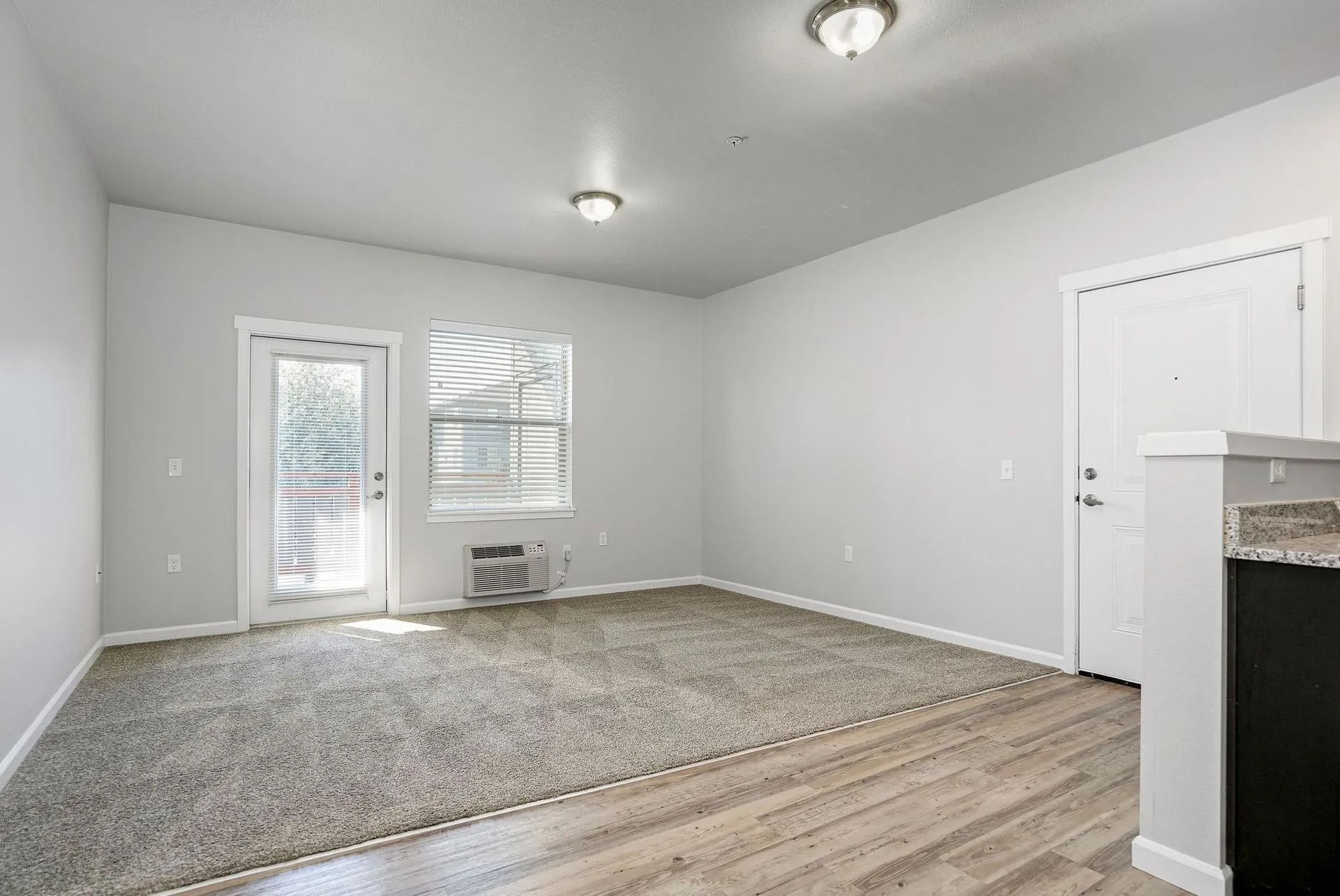 Empty living room with gray carpet, white walls, wood floor, windows, and a ceiling light
