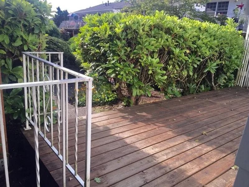 Wooden deck with white railing beside a tall green hedge in a sunny garden