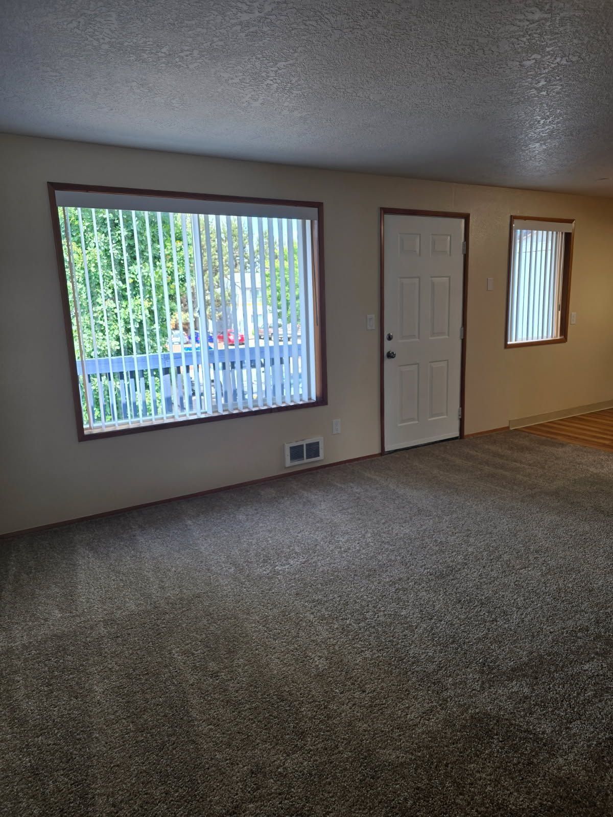 Empty living room with beige walls, carpeted floor, large window, small door, and vertical blinds.
