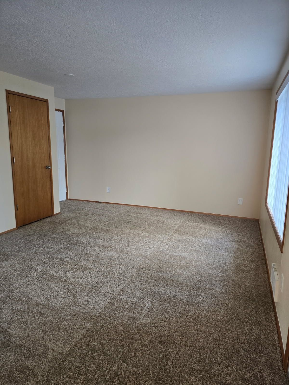 Empty beige carpeted room with tan walls, wooden door, and a window letting in daylight