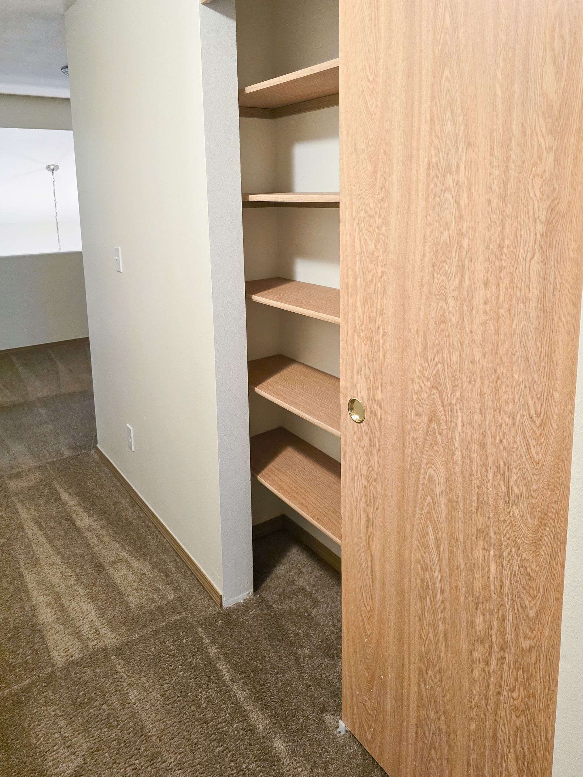 Open closet with empty shelves and a wood door in a carpeted hallway