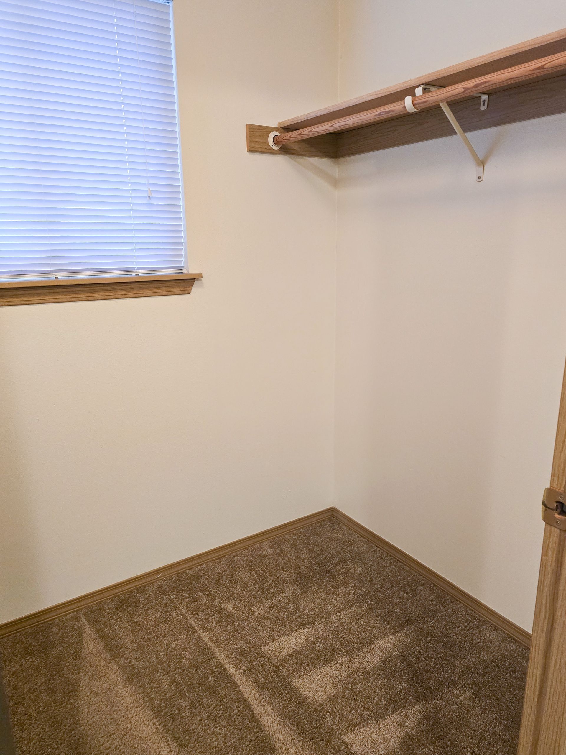 Empty carpeted room corner with white walls, a window blind, and a wooden shelf mounted high on one wall