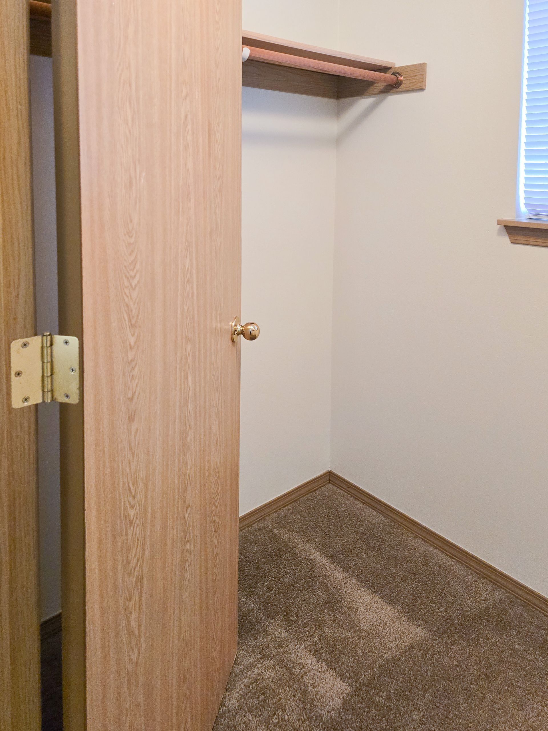 Empty carpeted closet with open wooden door and shelf, lit by window light