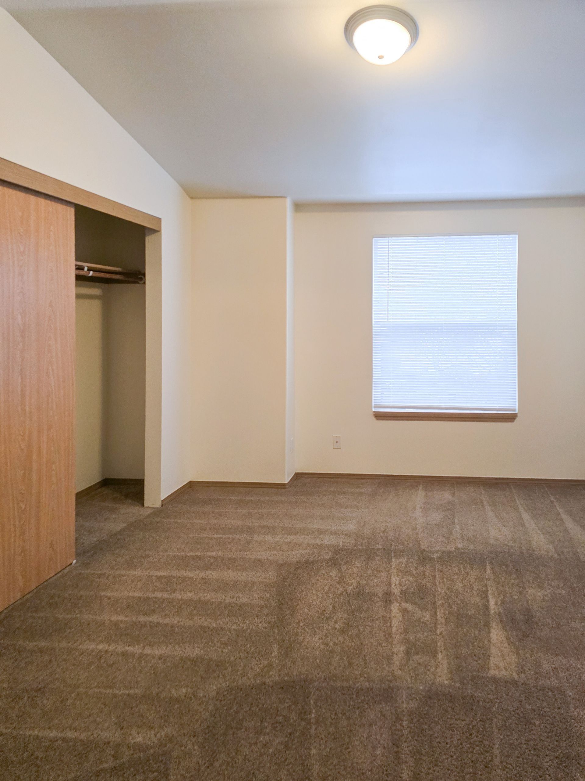 Empty beige bedroom with carpet, open closet, and a window with blinds.