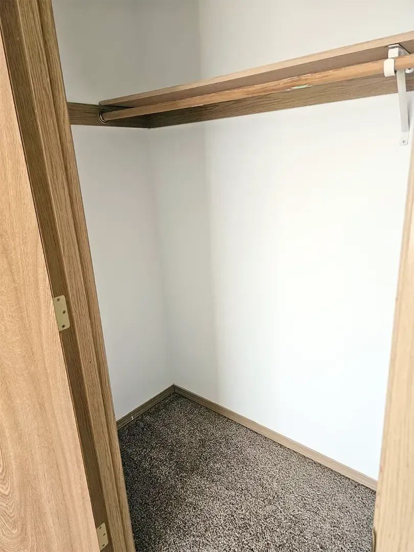 Empty closet with white walls, wooden shelf, and carpeted floor